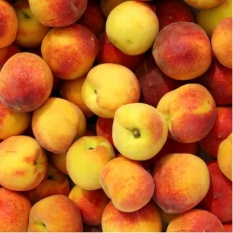 Fresh produce from Bud's Produce
