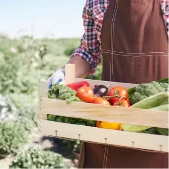 Fresh produce from Bud's Produce