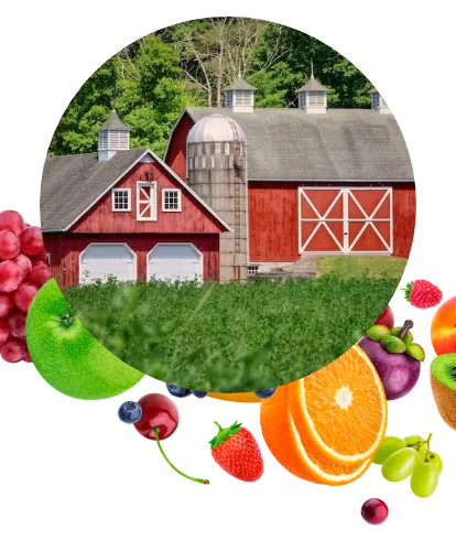 Local Kentucky farm partnered with Bud's Produce